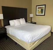SureStay Plus by Best Western Jonestown Lebanon Valley hotel detail image 4