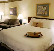Hampton Inn Williamston hotel detail image 4