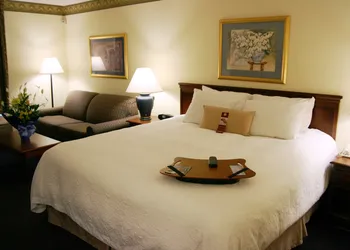 Hampton Inn Williamston hotel thumbnail 4