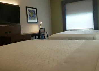 Holiday Inn Express Hotel & Suites Weslaco by IHG hotel thumbnail 6