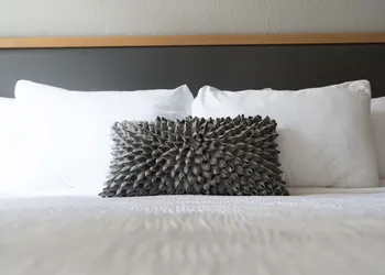 Hotel Saint Clair- Magnificent Mile hotel thumbnail 6