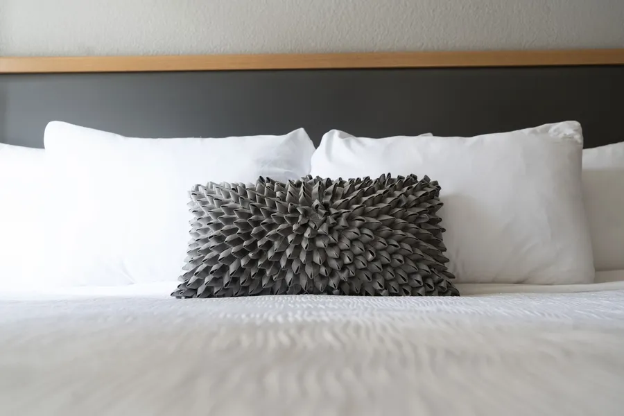 Hotel Saint Clair- Magnificent Mile hotel detail image 6
