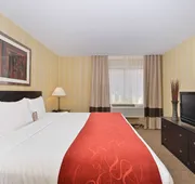 Comfort Suites Highlands Ranch Denver Tech Center Area hotel detail image 3