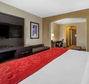 Comfort Suites Highlands Ranch Denver Tech Center Area hotel detail image 7