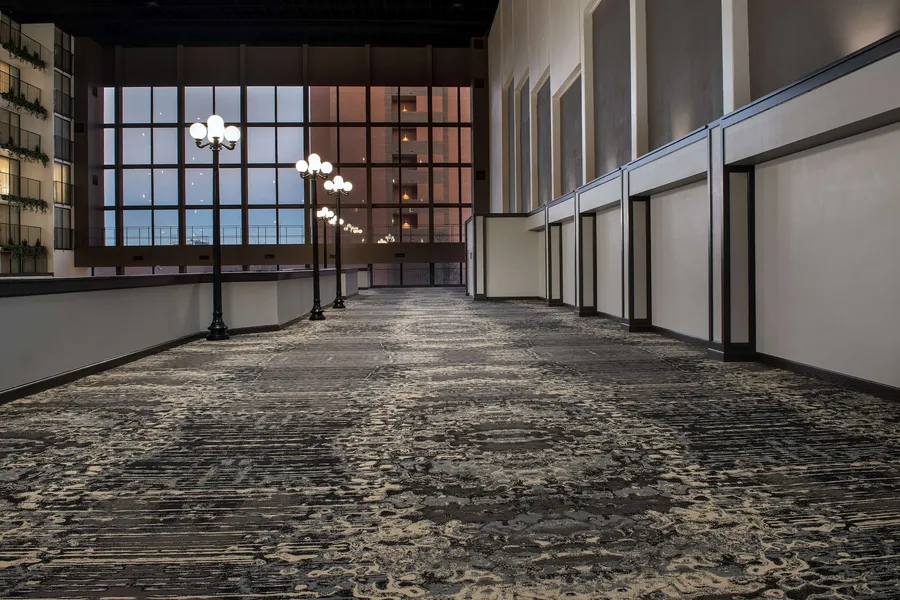 Embassy Suites Hotel Winston-Salem hotel detail image 6