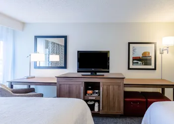 Hampton Inn Rochester-South hotel thumbnail 8