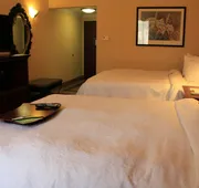 Hampton Inn & Suites Houston Katy hotel detail image 7