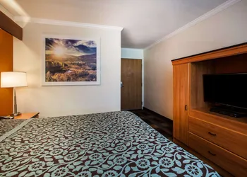 Days Inn & Suites by Wyndham Antioch hotel thumbnail 6