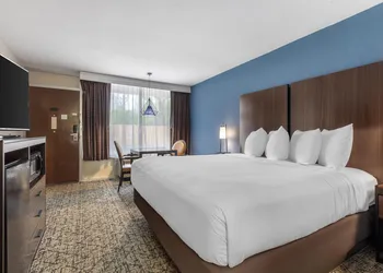 Best Western Winners Circle hotel thumbnail 4