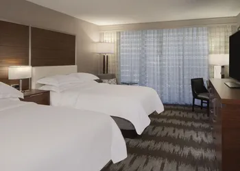 Hilton Tampa Airport Westshore hotel thumbnail 7