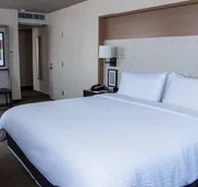 Holiday Inn Metairie New Orleans by IHG hotel detail image 7