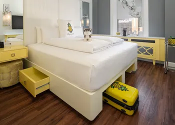 Staypineapple, A Delightful Hotel, South End hotel thumbnail 8