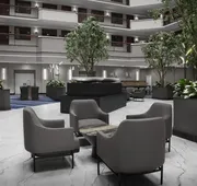 Embassy Suites by Hilton Dallas Near the Galleria hotel detail image 4