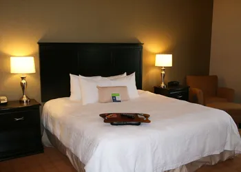 Hampton Inn & Suites Chicago/St. Charles hotel thumbnail 7