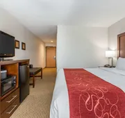 Comfort Suites Downtown Sacramento hotel detail image 4