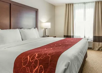 Comfort Suites Downtown Sacramento hotel thumbnail 6