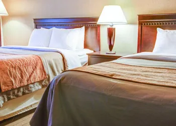 Quality Inn Florence hotel thumbnail 8