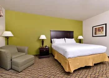 Holiday Inn Express Hotel & Suites Sherman Highway 75 by IHG hotel thumbnail 6