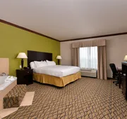 Holiday Inn Express Hotel & Suites Sherman Highway 75 by IHG hotel detail image 7