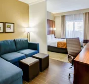 Comfort Suites Georgetown hotel detail image 7