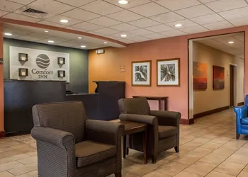 Comfort Inn & Suites Lumberton Central I-95 hotel thumbnail 3