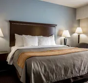 Comfort Inn & Suites Lumberton Central I-95 hotel detail image 7