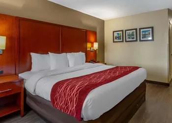 Comfort Inn Fort Mill Amusement Park at Carowinds Blvd hotel thumbnail 6