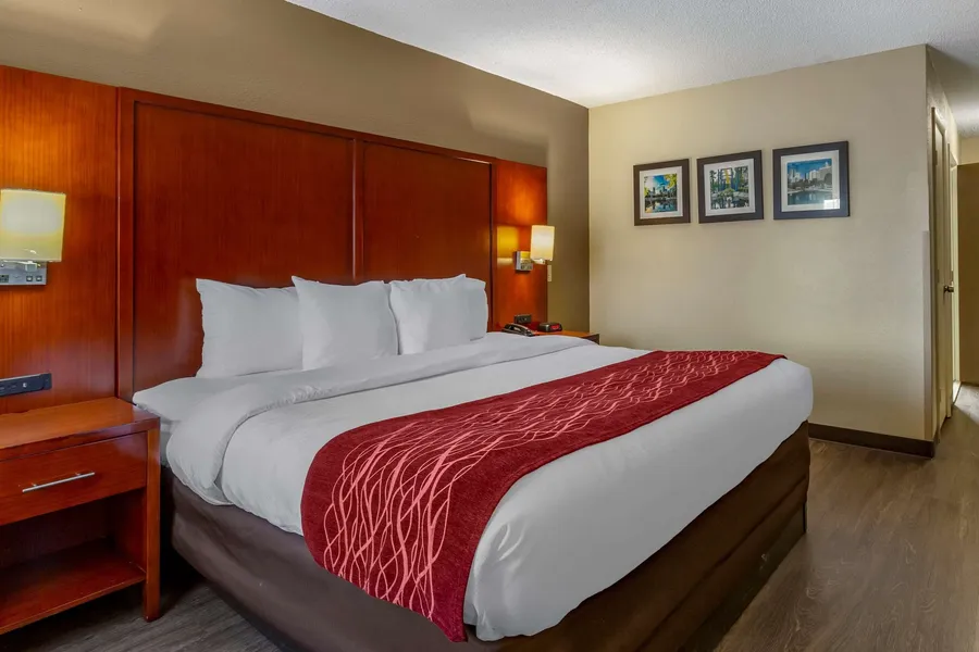 Comfort Inn Fort Mill Amusement Park at Carowinds Blvd hotel detail image 6