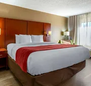 Comfort Inn Fort Mill Amusement Park at Carowinds Blvd hotel detail image 7