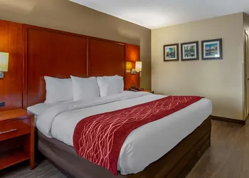 Comfort Inn Fort Mill Amusement Park at Carowinds Blvd hotel thumbnail 6