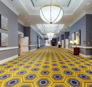 Renaissance Dallas North Hotel hotel detail image 7