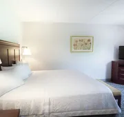Hampton Inn & Suites Berkshires-Lenox hotel detail image 5