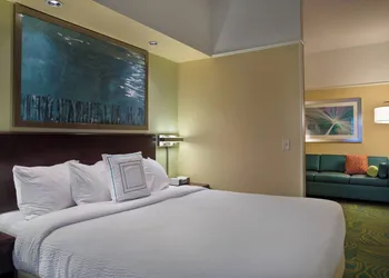 SpringHill Suites by Marriott St. Petersburg Clearwater hotel thumbnail 5