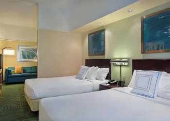 SpringHill Suites by Marriott St. Petersburg Clearwater hotel thumbnail 6