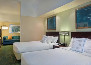 SpringHill Suites by Marriott St. Petersburg Clearwater hotel thumbnail 6