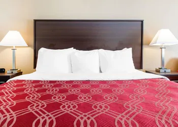 Quality Inn Noblesville - Indianapolis hotel thumbnail 8