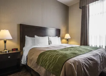 Comfort Inn Surrey Hotel hotel thumbnail 8