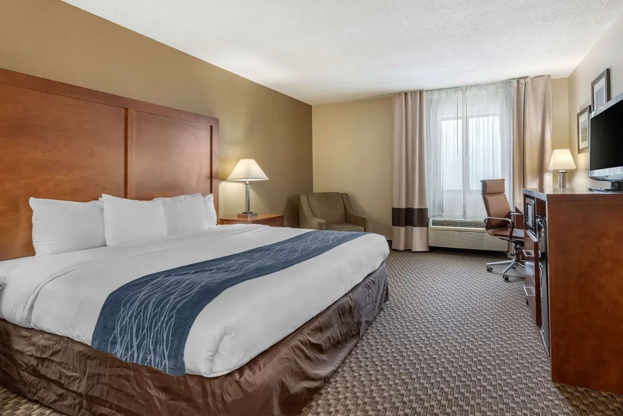 Comfort Inn Indianapolis South hotel detail image 6