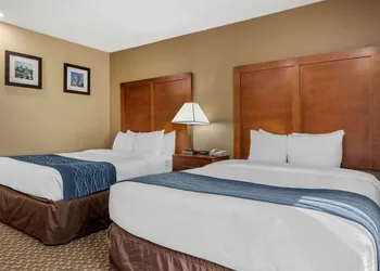 Comfort Inn Indianapolis South hotel thumbnail 8