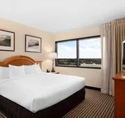 Hilton Chicago/Oak Brook Suites hotel detail image 4