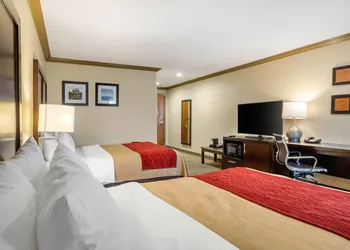 Comfort Inn Castro Valley hotel thumbnail 8