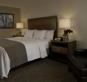DoubleTree by Hilton Pittsburgh - Green Tree hotel detail image 3