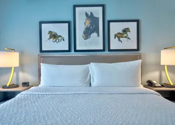 Homewood Suites Lexington-Hamburg hotel thumbnail 5