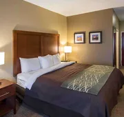 Comfort Inn & Suites Red Oak - Dallas Area hotel detail image 5