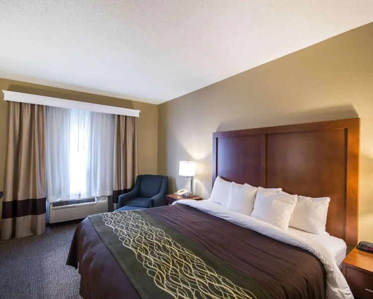 Comfort Inn & Suites Red Oak - Dallas Area hotel detail image 6