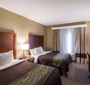 Comfort Inn & Suites Red Oak - Dallas Area hotel detail image 7