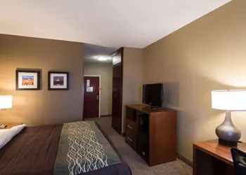 Comfort Inn & Suites Red Oak - Dallas Area hotel thumbnail 8