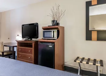 Econo Lodge Gainesville Downtown Area hotel thumbnail 8