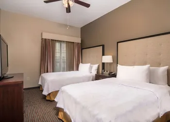 Homewood Suites by Hilton Austin-South/Airport hotel thumbnail 4