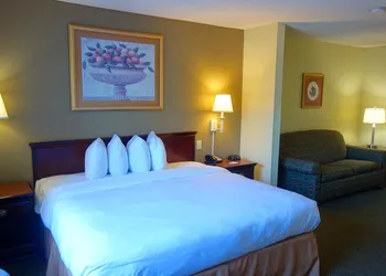 Country Inn & Suites by Radisson, McDonough, GA hotel thumbnail 6